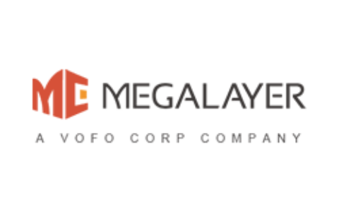 Megalayer#99元美国圣何塞独立服务器测评-流年笔记